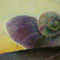 img-000
